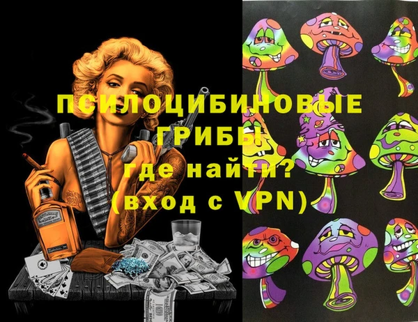 PSILOCYBIN Михайловка